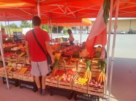 Mantova, mercati contadini confermati: aperta nuova gara per Lungorio e Cittadella