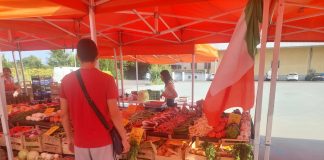 Mantova, mercati contadini confermati: aperta nuova gara per Lungorio e Cittadella