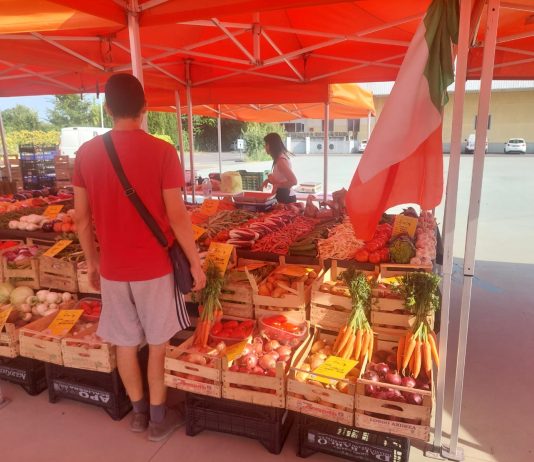 Mantova, mercati contadini confermati: aperta nuova gara per Lungorio e Cittadella