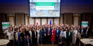 Mozzarella Bufala Dop, unico Consorzio italiano in missione in Giappone con l’Ue