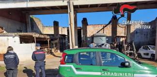 Droga e armi: nuovi guai per la gang di pastori che terrorizzava la Bassa