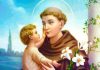 Domani la Festa di Sant’Antonio: le celebrazioni in San Francesco