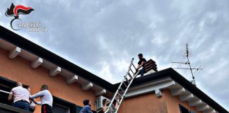 Sul tetto con lei incinta e atti persecutori: il tribunale allontana il compagno violento