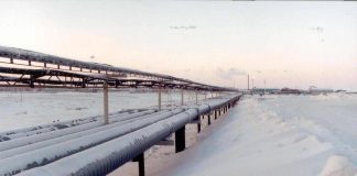 Gas, Arera: in 2024 record consumi mondiali, +1,4% produzione