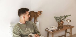 Animali, da Ultima campagna Amore Animale e sostegno a Enpa
