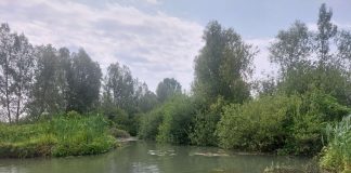 Parco del Mincio, partono conferenze di valutazione per Piani di Gestione delle riserve naturali