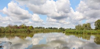 Festa d’Autunno alla Riserva Naturale Paludi di Ostiglia