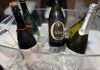 Meno alcol più piacere: “Follia” di Quistello il vino perfetto per brindare d’estate