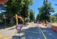 Mantova, lavori di riqualificazione in viale Asiago: viabilità modificata dal 17 al 20 marzo