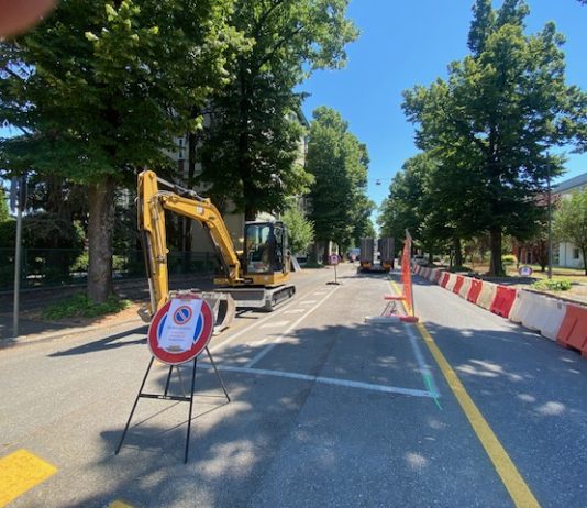 Mantova, lavori di riqualificazione in viale Asiago: viabilità modificata dal 17 al 20 marzo