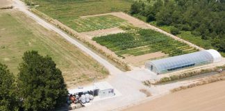 Agricoltura, MartinoRossi in campo per innovazione sostenibile con progetti sperimentali