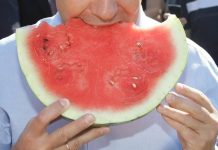 Caldo, Coldiretti: “in ripresa i prezzi dei meloni. Boom vendite per la mini anguria”