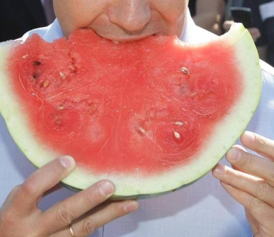 Caldo, Coldiretti: “in ripresa i prezzi dei meloni. Boom vendite per la mini anguria”