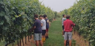 Palidano, scuola in campo: studenti dello “Strozzi” tra pratica e passione agraria