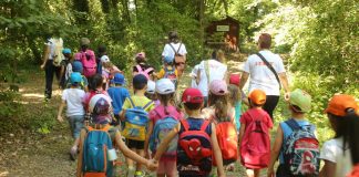 Suzzara: il Bosco Urbano rinasce, un polmone verde per la comunità