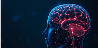 Estate, i consigli dei neurologi per la salute del cervello in vacanza