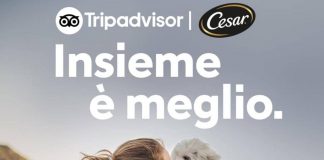 Vacanze, quasi la metà italiani rinuncia a viaggiare con il proprio cane