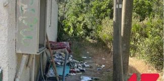 A Ostia spiagge libere senza bagni, l’allarme degli igienisti. L’ordine dei medici: “Tante segnalazioni anche a noi”