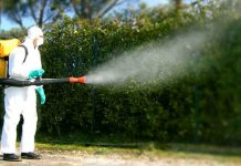 Secondo ciclo disinfestazioni: Mantova Ambiente intensifica la lotta alle zanzare