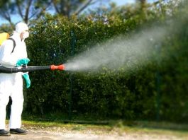 Secondo ciclo disinfestazioni: Mantova Ambiente intensifica la lotta alle zanzare