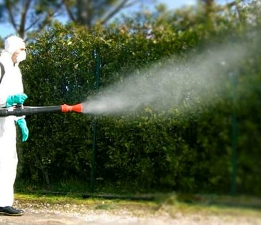 Secondo ciclo disinfestazioni: Mantova Ambiente intensifica la lotta alle zanzare