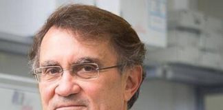 Italiana guarita dopo Lourdes, il neurologo: “Esperienza al limite dell’impossibile”