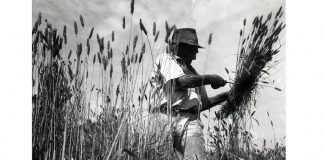 L’anima contadina in cento scatti: alla Casa del Mantegna la mostra di Giuseppe Morandi