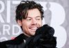 Harry Styles oltre la musica, lancia una linea di… sex toys: “Pleasing Yourself”
