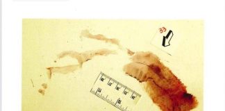 Caso Garlasco, consulenza Poggi: “Impronta 33 inutilizzabile, non è nitida”