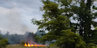 Fienile in fiamme lungo strada Maddalena, l’odore acre avvertito in tutta Bancole