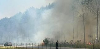 Bagnolo, vigile del fuoco si sente male mentre spegne incendio di sterpaglie: in ospedale