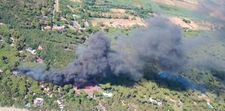 Fiamme nella pineta di Castiglione della Pescaia, 600 evacuati da un campeggio