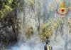 Incendio a Roma ovest, rogo di sterpaglie minaccia case e negozi