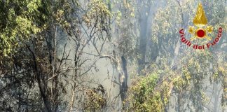 Incendio a Roma ovest, rogo di sterpaglie minaccia case e negozi