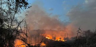 Incendio a Roma, strade chiuse tra Magliana e Fiumicino
