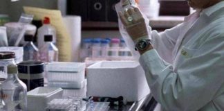 Tumori, in Sardegna oltre 10mila casi l’anno, esperti: “Vaccini fondamentali in fragili”