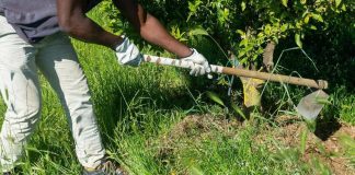 Caldo, Rebuzzi: “Può uccidere, impedire lavoro all’aperto nella morsa dell’afa”