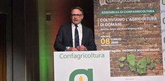 Lollobrigida: “Lavoriamo per evitare scelta folle Europa in agricoltura”
