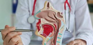Carcinoma rinofaringeo, Ue approva tislelizumab più chemioterapia in prima linea
