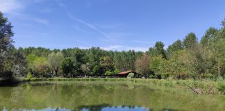 Al via “Il Gusto del Bello”, un modo non convenzionale di conoscere il territorio