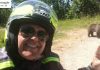 Romania, motociclista italiano sbranato da orsa: ha filmato gli ultimi momenti