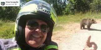 Romania, motociclista italiano sbranato da orsa: ha filmato gli ultimi momenti