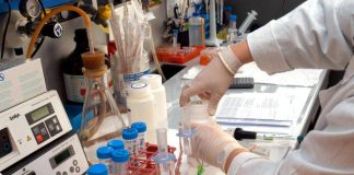 Studio italiano sul morbillo: “Dove vaccinazioni calano virus più vario e resiliente”