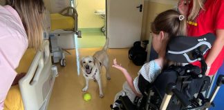 Sma, al Besta studio benefici pet therapy con Purina e Frida’s Friends