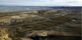 Ricerca, da proteine vecchie 20 milioni di anni svolta per gli studi sull’evoluzione