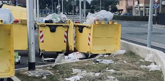 Suzzara, maleducazione e inciviltà: l’abbandono di rifiuti in viale Lenin