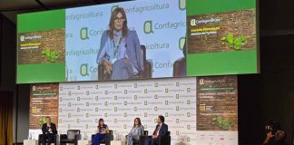Santanchè: “Dop è fondamentale per aumentare offerte”