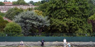 Sinner-Djokovic inizia un giorno prima: allenamento ‘a vista’ per Jannik e Nole a Wimbledon