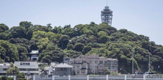 Terremoto di magnitudo 8.8 in Kamchatka. Allerta tsunami in Giappone, Russia e parte degli Usa