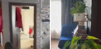 Terremoto oggi da Kamkatchka a Giappone, la casa trema per un minuto